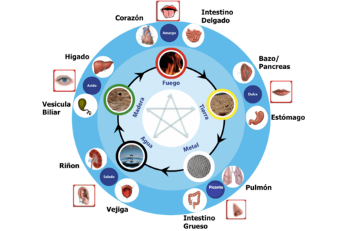medicina china, adelgazar y bajar de peso natural
